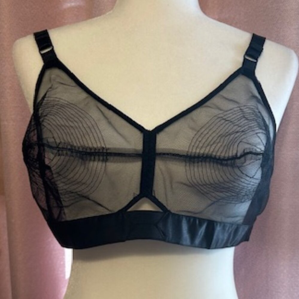 SECRETS IN LACE Coquette Sheer Bullet Bra - Picture 2 of 3